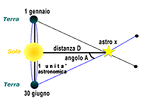 Parallasse annua